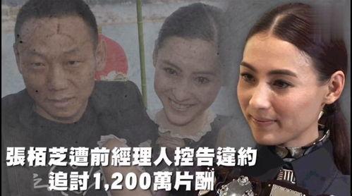 吃瓜娱乐而已,揭秘娱乐圈幕后故事