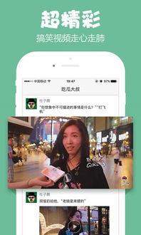 娱乐吃瓜酱电子版,揭秘娱乐圈幕后故事